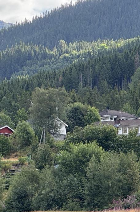 Lenkje til artikkel: Har du privat bustad til utleige i Valle kommune?